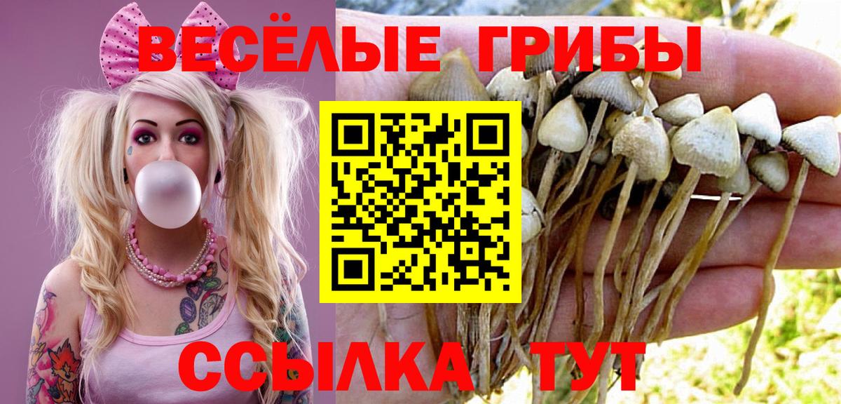 Галлюциногенные грибы Cubensis  Вход с VPN  Ялта 